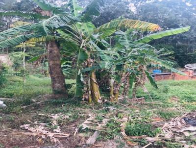 Terreno para Venda, em So Sebastio, bairro Barequeaba