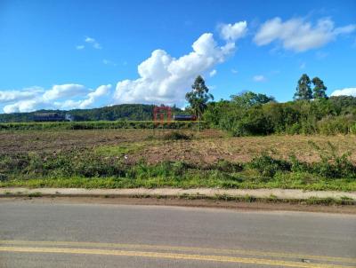 Terreno para Venda, em Santa Cruz do Sul, bairro CIPRIANO