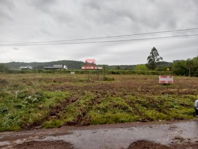 Terreno para Venda, em Santa Cruz do Sul, bairro CIPRIANO