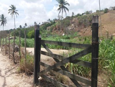 Stio para Venda, em Ch Grande, bairro Zona Rural, 4 dormitrios, 3 banheiros, 1 sute