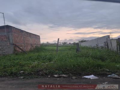 Terreno para Venda, em Itanham, bairro Luizamar