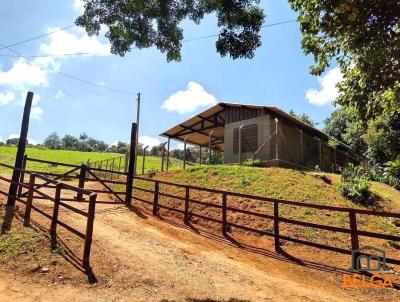 rea para Venda, em Piracaia, bairro Canedos