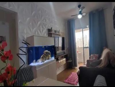imagem-miniatura