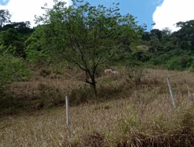 Terreno Rural para Venda, em Governador Valadares, bairro Brejaubinha