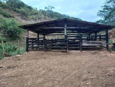 Terreno Rural para Venda, em Governador Valadares, bairro Brejaubinha