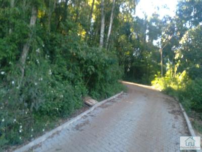 Chcara para Venda, em Taquara, bairro rea rural