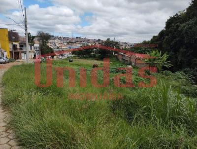 Terreno para Venda, em Itapeva, bairro Vila So Benedito