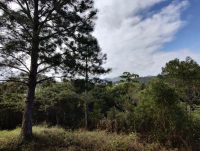 Terreno para Venda, em Florianpolis, bairro Joo Paulo