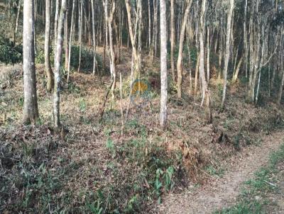 Terreno para Venda, em So Loureno da Serra, bairro Jardim Serrano