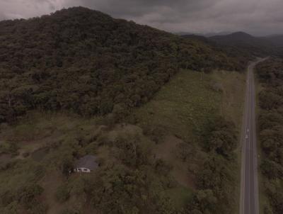 rea para Venda, em Antonina, bairro So Joo da Graciosa