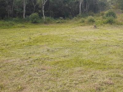 Terreno para Venda, em Juquitiba, bairro Centro