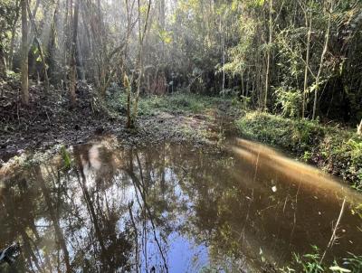 Chcara para Venda, em Juquitiba, bairro Centro