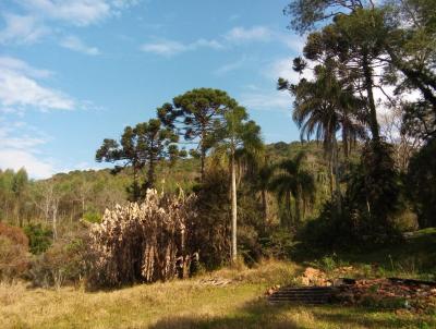 Chcara para Venda, em Itapecerica da Serra, bairro Aldeinha