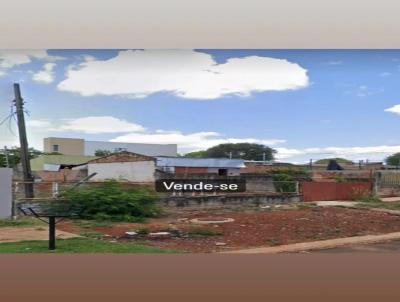 imagem-miniatura
