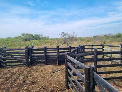 Stio para Venda, em Nobres, bairro Rural, 3 dormitrios, 1 banheiro, 1 sute, 1 vaga