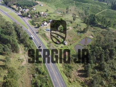 Stio / Chcara para Venda, em Triunfo, bairro rea rural, 2 dormitrios, 1 banheiro, 2 vagas