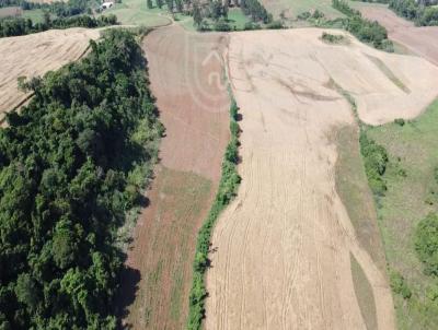 rea Rural para Venda, em Tiradentes do Sul, bairro interior