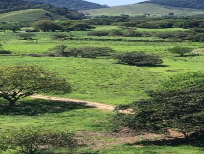 Fazenda para Venda, em Silva Jardim, bairro Silva Jardim
