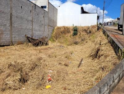 Terreno para Venda, em Bragana Paulista, bairro Jardim Vista Alegre