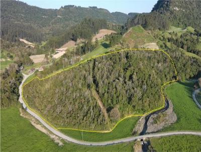 Stio para Venda, em Agrolndia, bairro Serra dos Alves