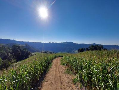 Fazenda para Venda, em Leoberto Leal, bairro Zona Rural, 2 dormitrios, 1 banheiro