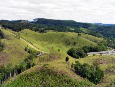 Fazenda para Venda, em Presidente Nereu, bairro Morro das Tirivas, 2 dormitrios, 1 banheiro