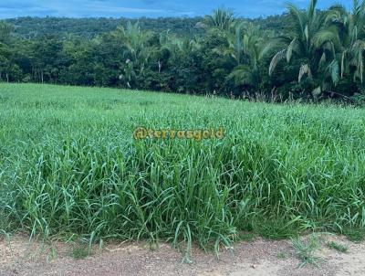 Fazenda para Venda, em Santo Antnio do Leverger, bairro Zona rural