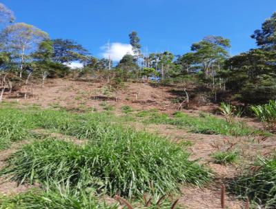 Chcara para Venda, em Marliria, bairro Centro