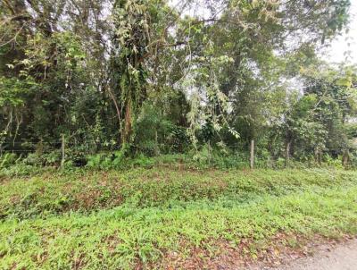 Terreno para Venda, em Itanham, bairro Palmeiras