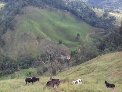 Stio para Venda, em Marliria, bairro Localidade Conquista, 3 dormitrios, 1 banheiro