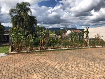 Terreno para Venda, em Dois Irmos, bairro Bairro Alto Vila Rosa