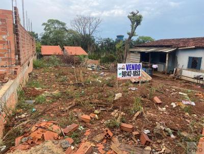 Lote para Venda, em Aparecida de Goinia, bairro Jardim Miramar