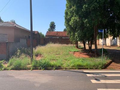 Terreno para Venda, em Caiu, bairro Centro