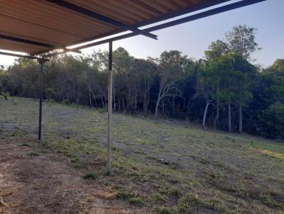 Chcara para Venda, em Cocalzinho de Gois, bairro Municipio de Cocalzinho GO