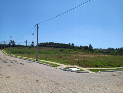Terreno para Venda, em Estncia Velha, bairro Lago Azul