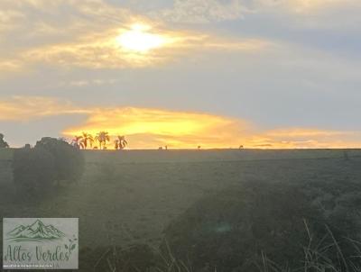 Terreno Residencial para Venda, em Pinhalzinho, bairro Residencial Imperio