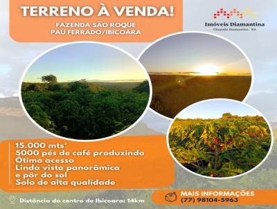 Terreno para Venda, em Ibicoara, bairro Pau Ferrado