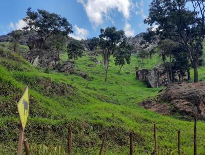 Fazenda para Venda, em Caet, bairro Araguaia