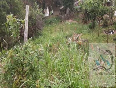 Terreno para Venda, em Imaru, bairro Centro