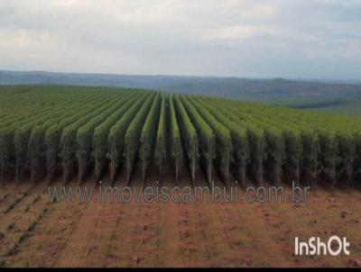 Fazenda para Venda, em Curvelo, bairro 