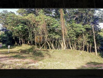 Terreno para Venda, em , bairro Loteamento Bosque dos Palmares