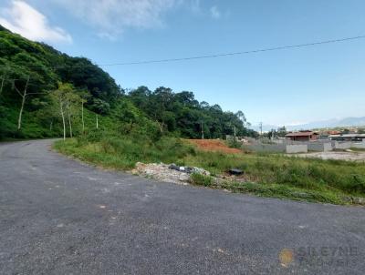 Terreno para Venda, em Caraguatatuba, bairro Jardim Itaúna