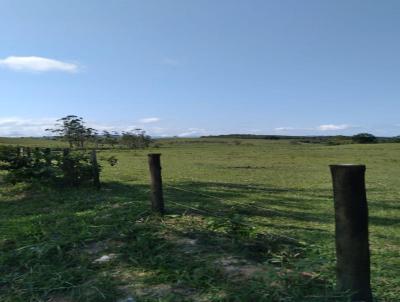 Fazenda para Venda, em Silva Jardim, bairro Silva Jardim