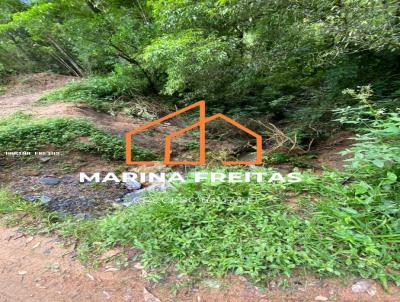 Stio para Venda, em Presidente Getlio, bairro DISTRITO MIRADOR