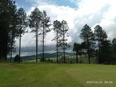 rea Rural para Venda, em Ibina, bairro .