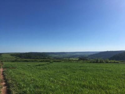 rea Rural para Venda, em Piedade, bairro Corras