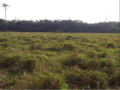 rea Rural para Venda, em Candeias do Jamari, bairro Triunfo