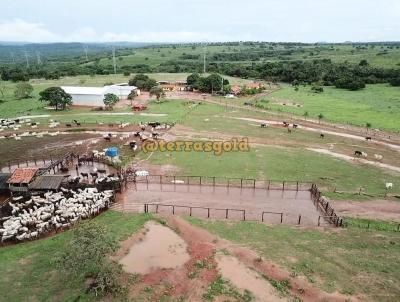 Fazenda para Venda, em Tesouro, bairro Zona rural