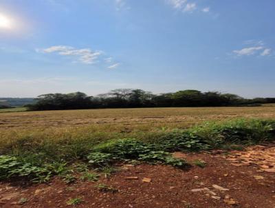 rea Rural para Venda, em Tiradentes do Sul, bairro interior