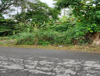 Terreno para Venda, em Pinheiral, bairro Centro